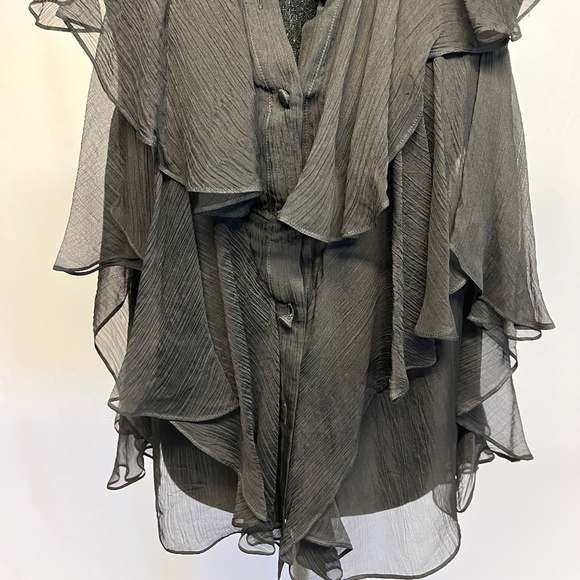 Stunning Alexander McQueen Chiffon Top - Picture 2 of 9